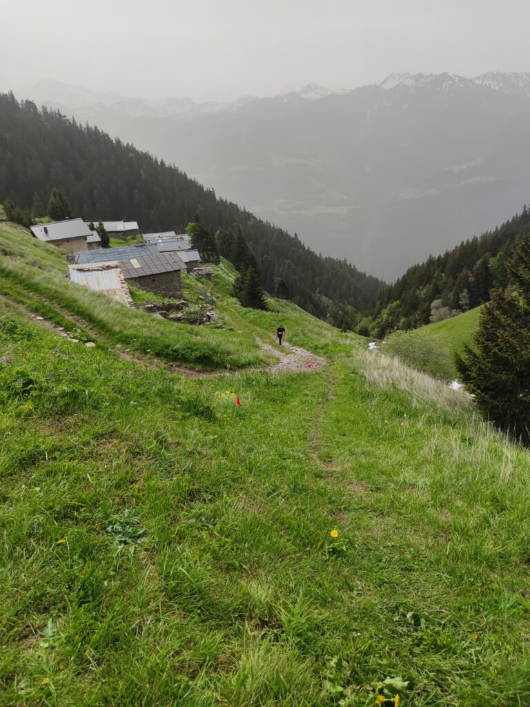 IMG_20240609_101419