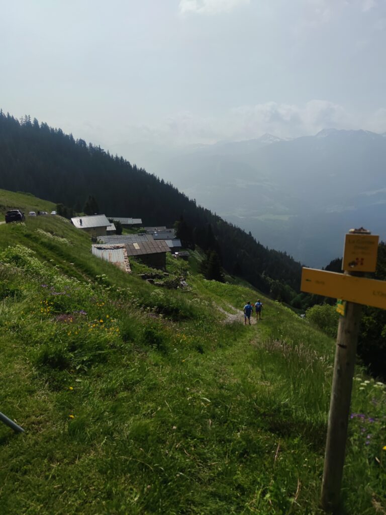 IMG_20250608_104715
