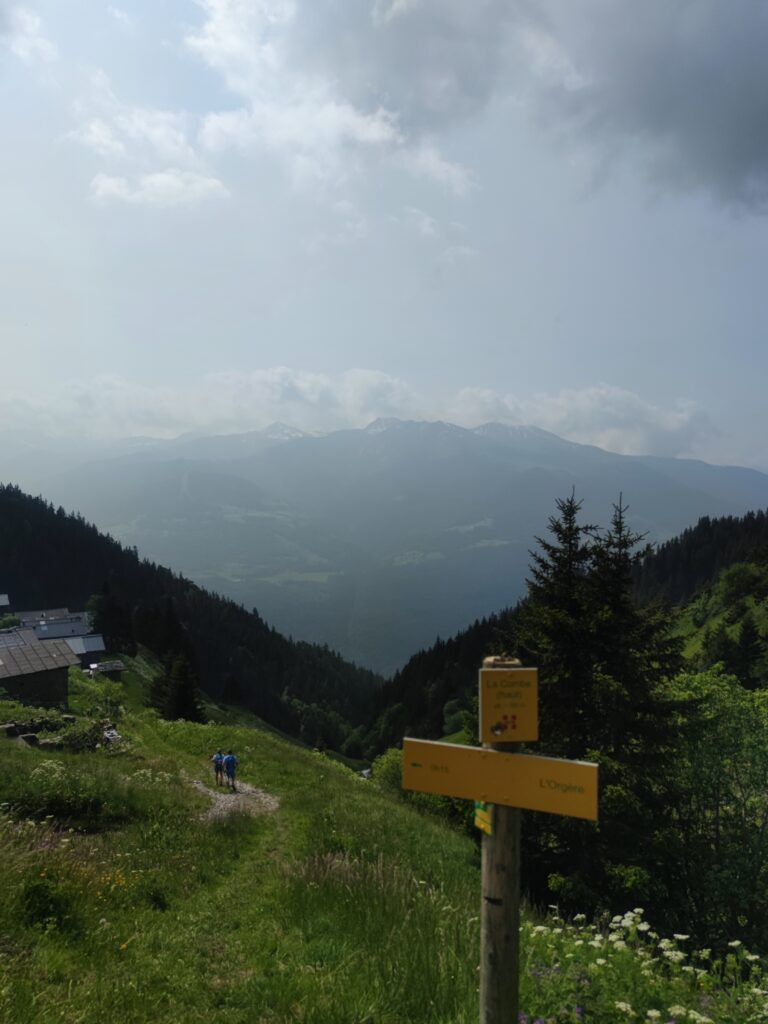 IMG_20250608_104720
